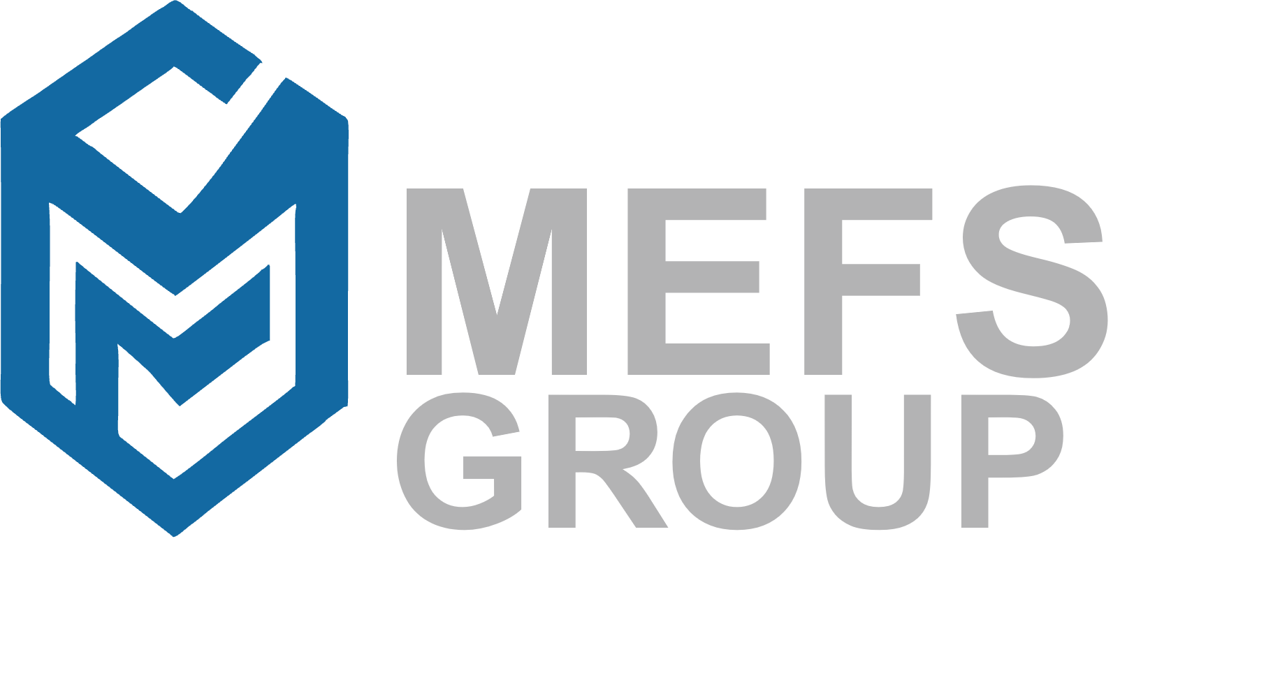 MEFS GROUP Logo